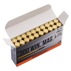 Balle 300 WINCHESTER MAGNUM 11,7G/180GRS X20 -Plein Air Boutique balle 300 winchester magnum 117g180grs x20 4