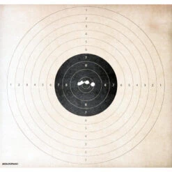 BALLE SANS PLOMB SPEED CALIBRE 12 X 5 -Plein Air Boutique balle sans plomb speed calibre 12 x 5 6