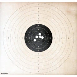 Cartouche Balle Slug 28gr CAL12/67 X10 -Plein Air Boutique cartouche balle slug 28gr cal1267 x10 6