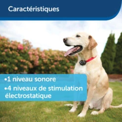 Clôture Anti-fugue Invisible Pour Chien Petsafe -Plein Air Boutique cloture anti fugue invisible pour chien petsafe 8