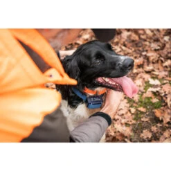 Collier Anti-aboiement Pour Chien Num'axes Canicalm Premium 7 Collier Anti-aboiement Pour Chien Num'axes Canicalm Premium -Plein Air Boutique collier anti aboiement pour chien numaxes canicalm premium 2