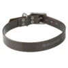 Collier Chien Noir 500 -Plein Air Boutique collier chien noir 500