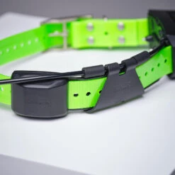 Collier Supplémentaire Repérage Et Dressage Pour Chien Garmin TT15X -Plein Air Boutique collier supplementaire reperage et dressage pour chien garmin tt15x 5