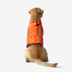 Gilet De Protection Pour Chien Supertrack -Plein Air Boutique gilet de protection pour chien supertrack 5