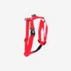 Harnais Confort Chien Rouge -Plein Air Boutique harnais confort chien rouge
