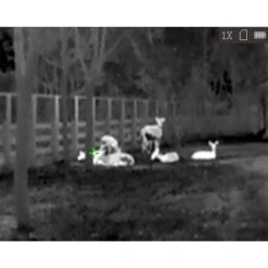 HikMicro Monoculaire De Vision Thermique Hik Micro Lynx Pro LE10 -Plein Air Boutique monoculaire de vision thermique hik micro lynx pro le10 7