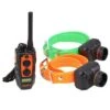 PACK 2 COLLIERS + TÉLÉCOMMANDE DE DRESSAGE ET REPÉRAGE POUR CHIEN DOGTRA 2600T&B