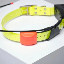 PACK COLLIER + TÉLÉCOMMANDE DE REPÉRAGE/DRESSAGE CHIEN GARMIN ALPHA 200 T5X -Plein Air Boutique pack collier telecommande de reperagedressage chien garmin alpha 200 t5x 7