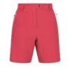 Regatta Short MOUNTAIN Femme (Rose Vif)