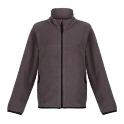 Regatta Veste Polaire Enfant (Gris Phoque)